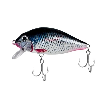 Yüzen Minnow Yemi